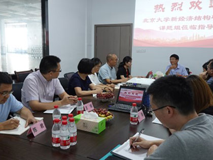 The New Structural Economics Research Institute ved Peking University og hans delegation kom til Chengbang Hi-Tech, et datterselskab af koncernen, for at udføre en særlig undersøgelse